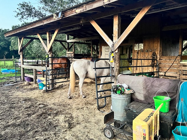 Battling the Aftermath of Relentless Rain August 2024: A Plea for Help at Ricky’s Ranch